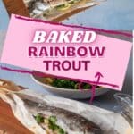 rainbow trout pin