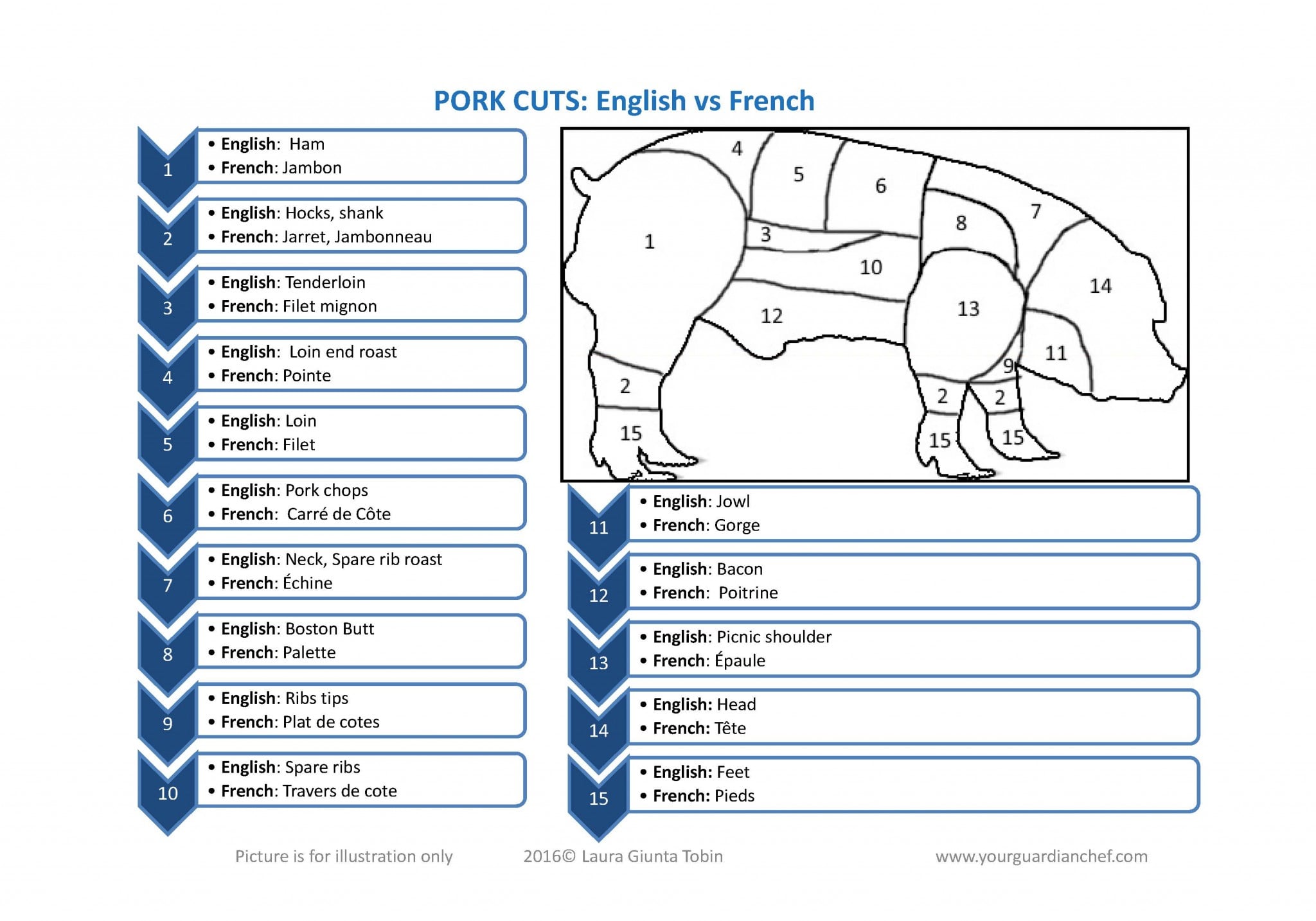 Pork Cuts english vs french
