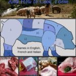 A list of all the edible parts of the pig with their names in English, French and Italian. A brief description of how they are used with some suggestions on how to cook each pork cuts. #yourguardianchef #porkchartmeat #porkrecipes #pork #porkchops #porkbelly #porktenderloin