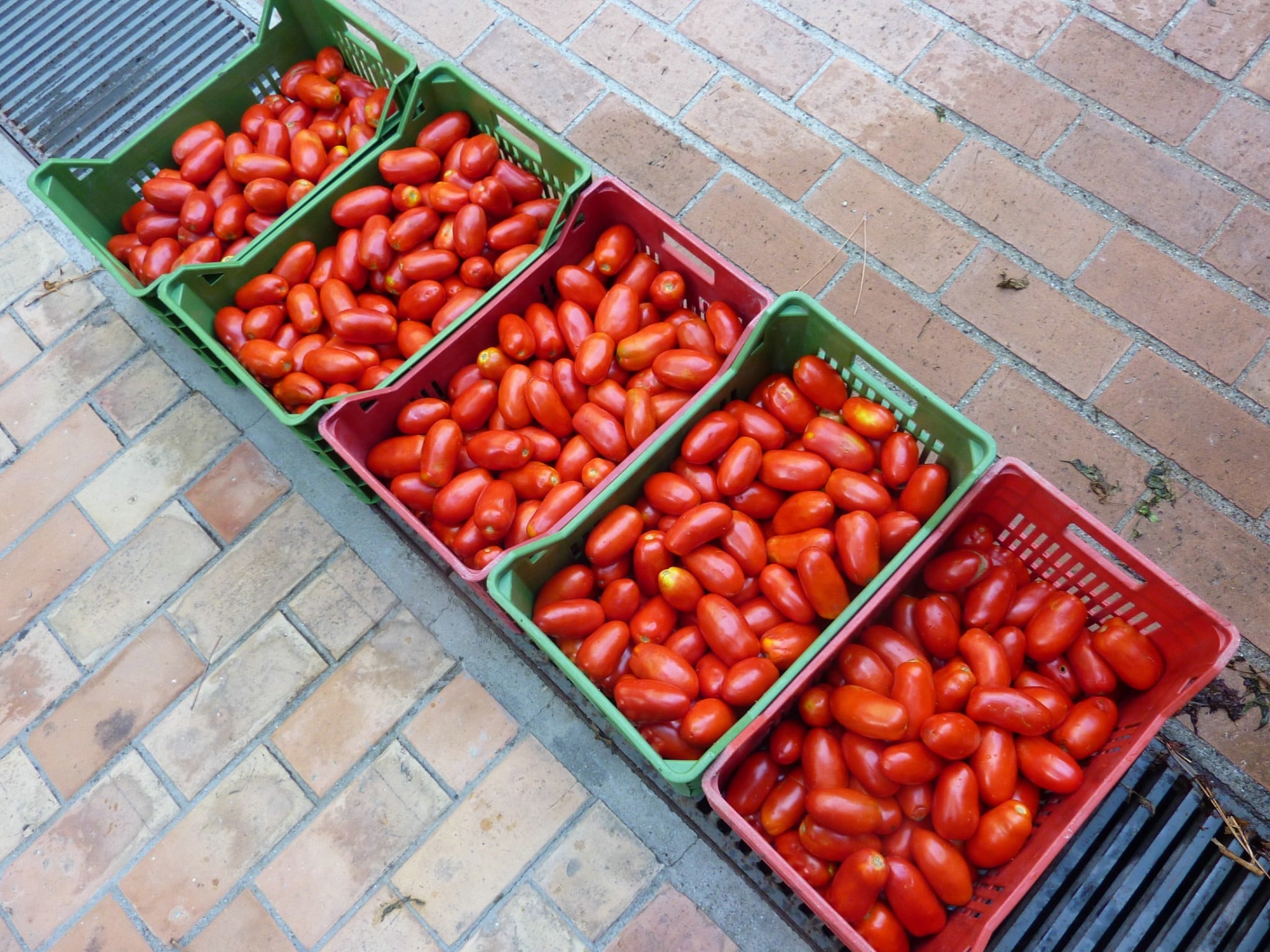 1 tons of tomatoes in crates
