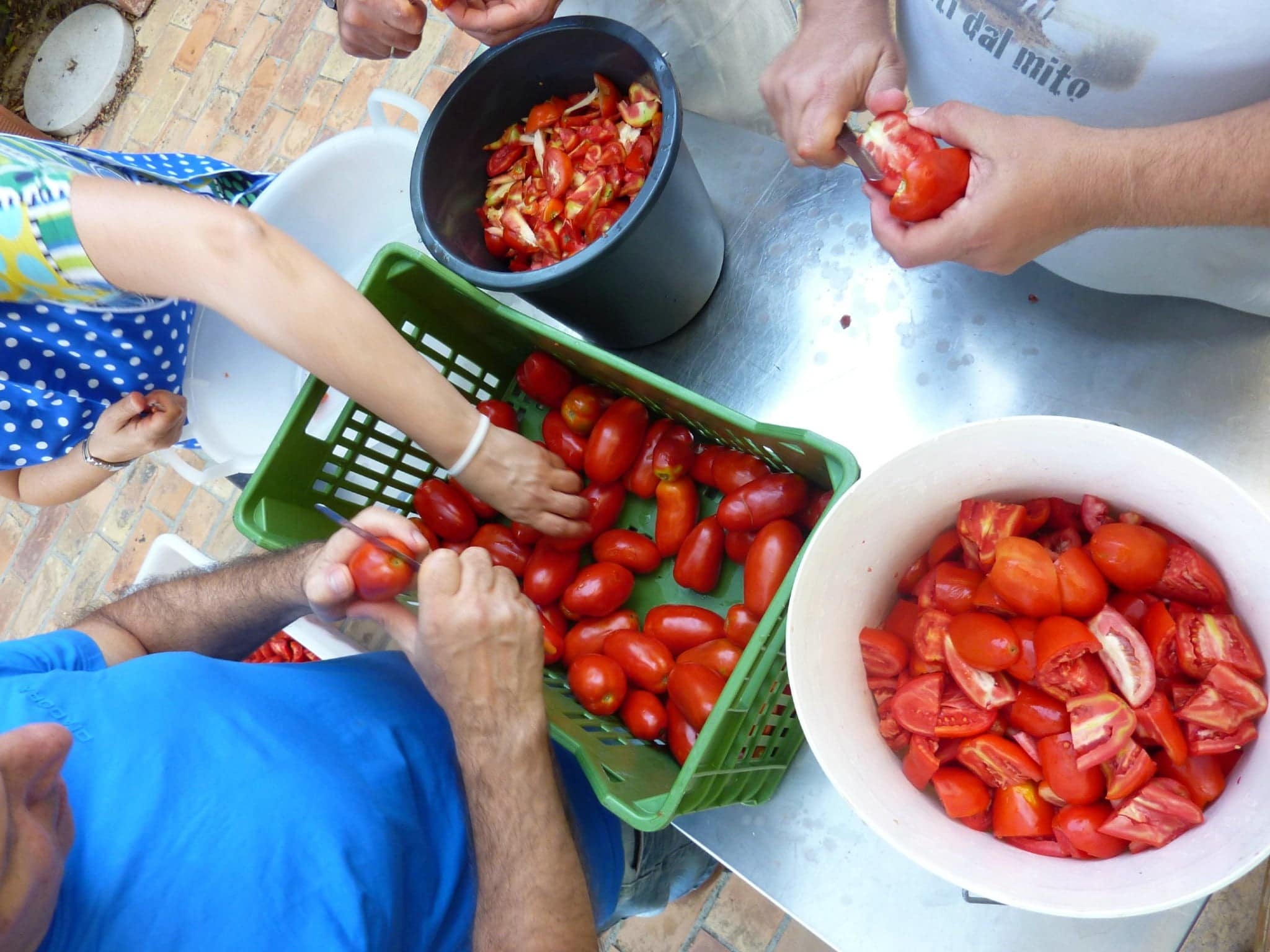 The team cleaning tomatoes