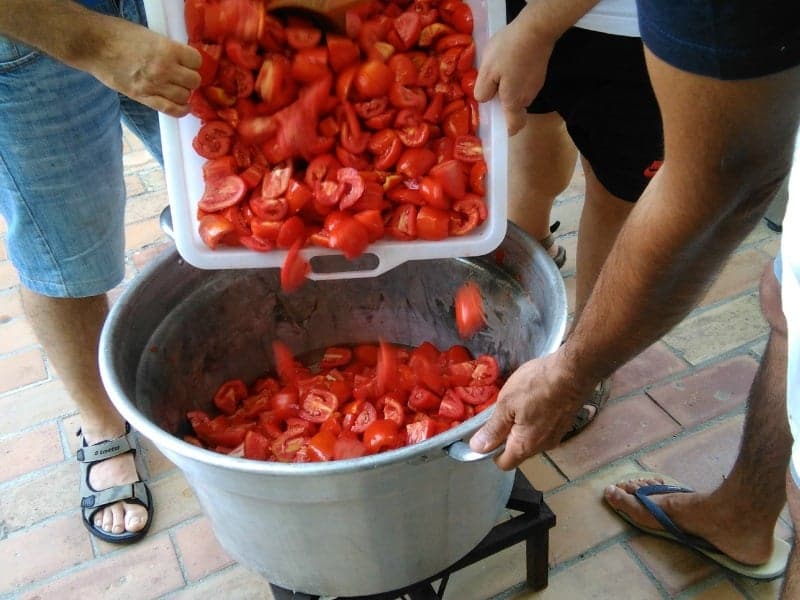 pouring the clean tomatoes in the cauldron