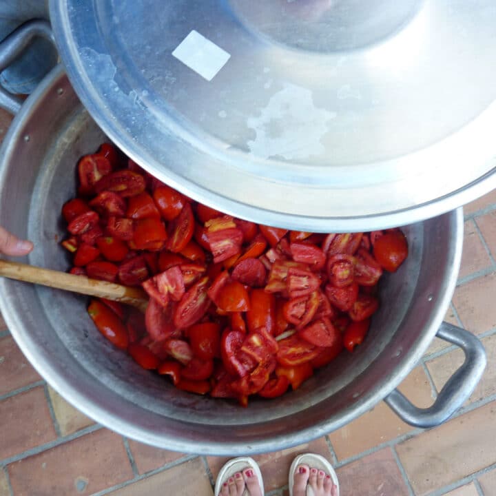 Simple Authentic Italian Tomato Sauce Recipe Your Guardian Chef