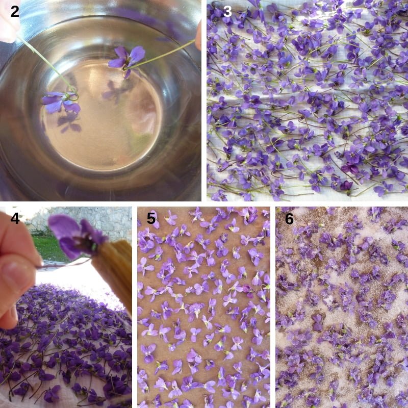 Step by Step Crystallized violets