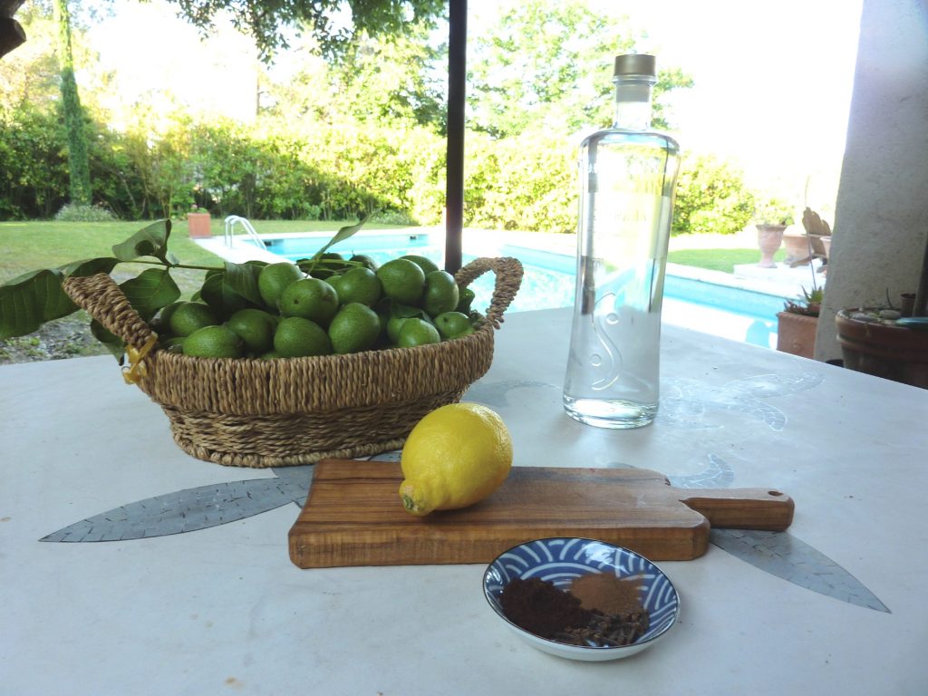 ingredients to make the italian liquor Nocino on a table
