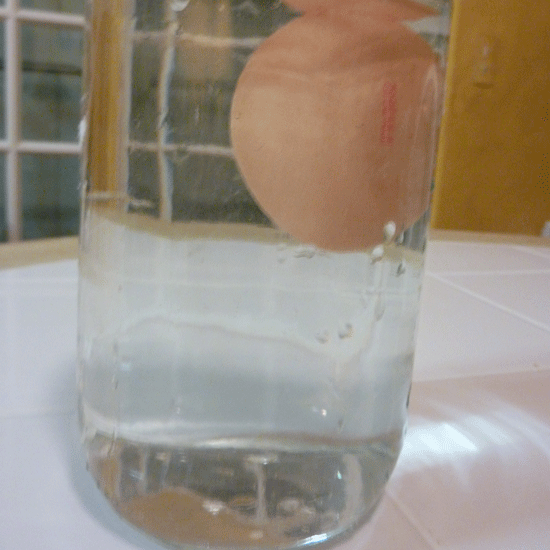 A rotten egg floats is water