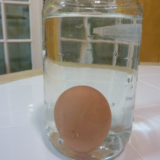 With time the fresh egg rises up