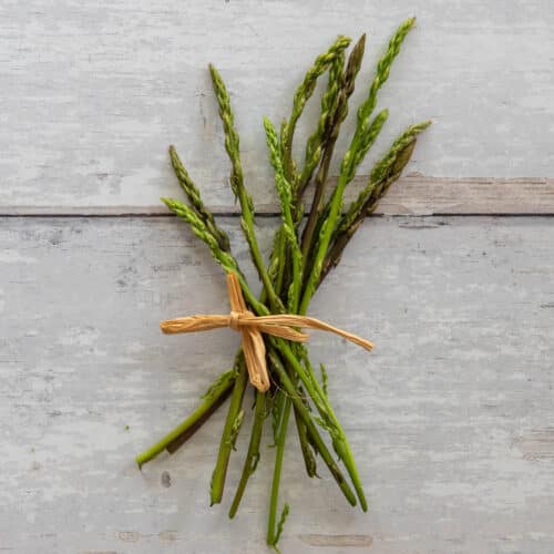 wild asparagus