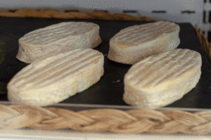 Chevrette du Poitou chees