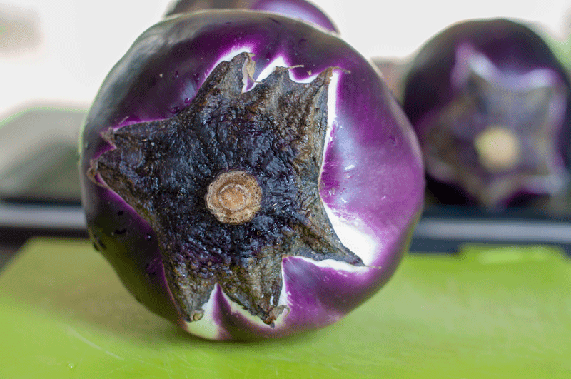 round eggplants