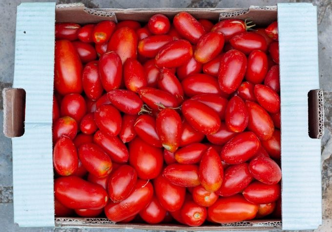10 kilos of fresh tomatoes for tomato sauce