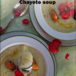 Chayote squash soup pin