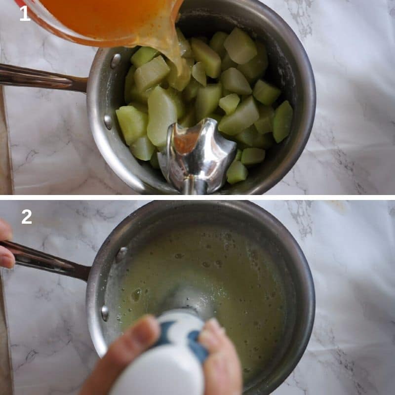 making the mousse blending the chayote squash