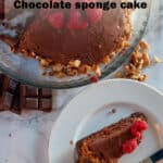 chocolate sponge cake pin