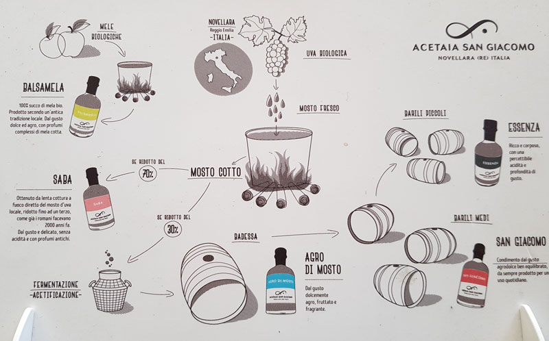 drawning showing the process on how Balsamic vinegar is made