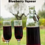 blueberry liqueur pin