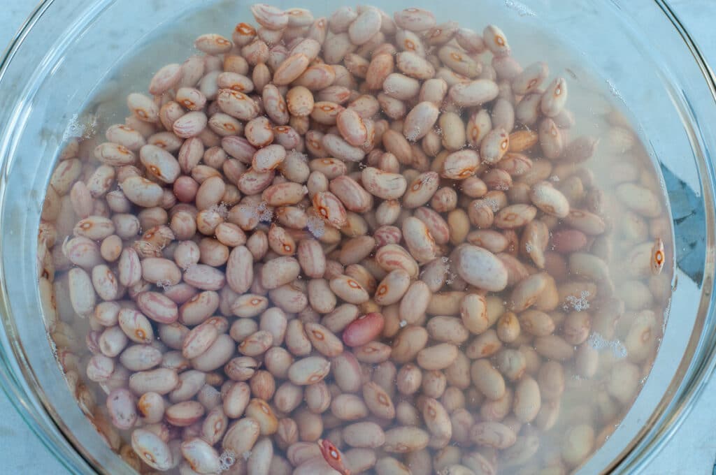 soaking pulses in water
