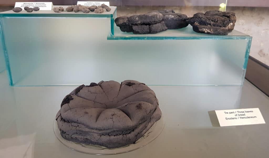 bread remains found in Pompeii