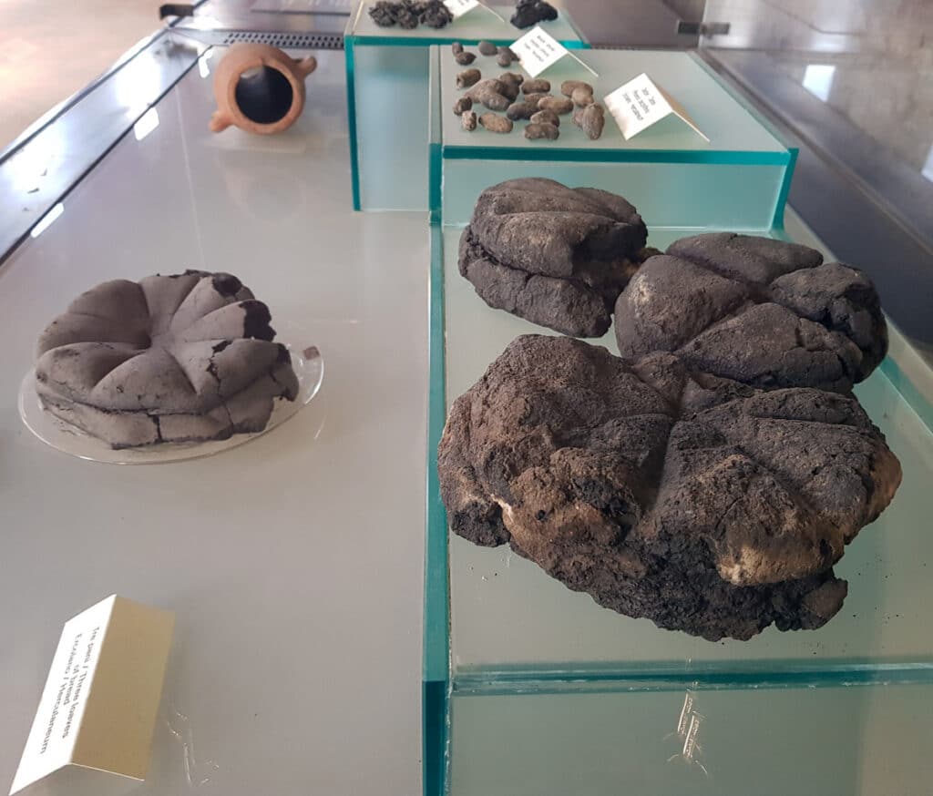 bread remains in Pompeii
