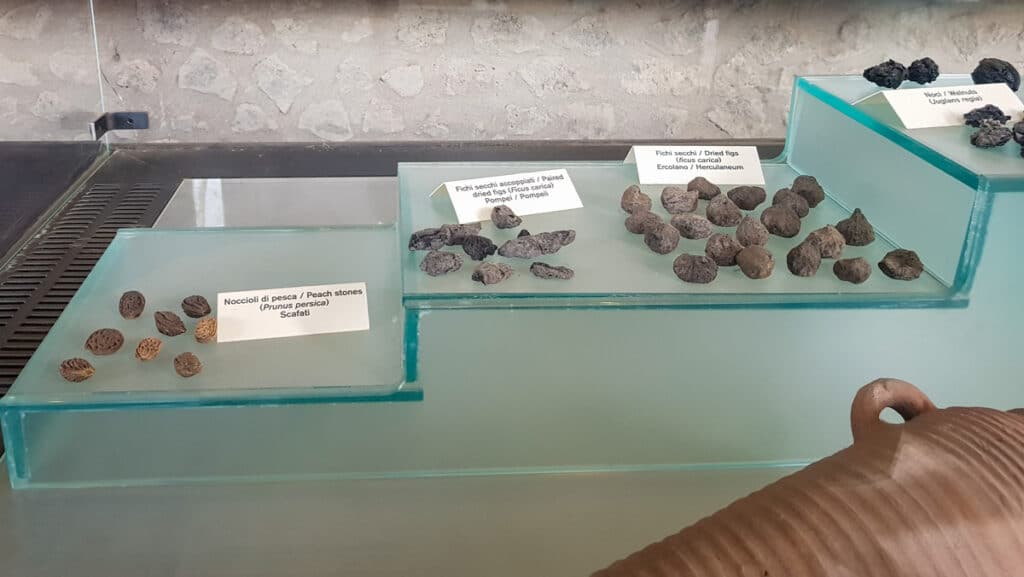 nuts and fruits found in Pompeii