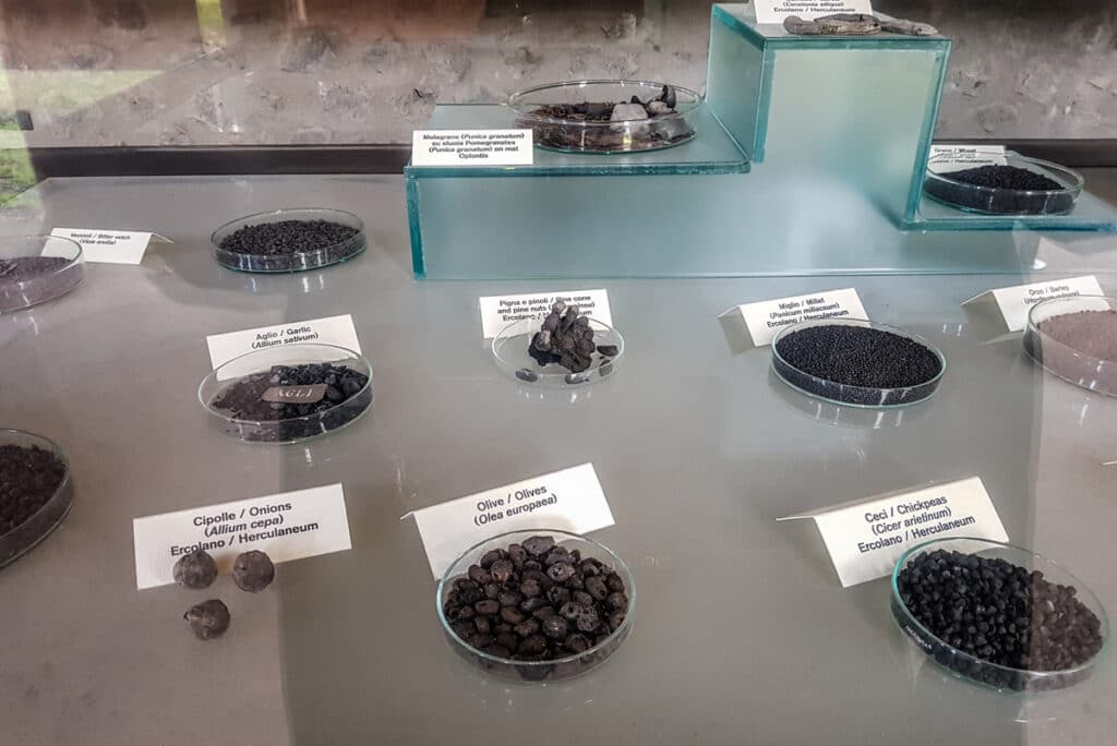 Ancient roman food remains displayed in Pompeii
