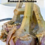 Roman Artichokes pin