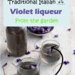 This homemade violet liqueur is made with the violets I picked from my garden. Comes March, my garden fills up with wild violets and this is my favorite way to use them. It is a unique edible gift to give to friends!
