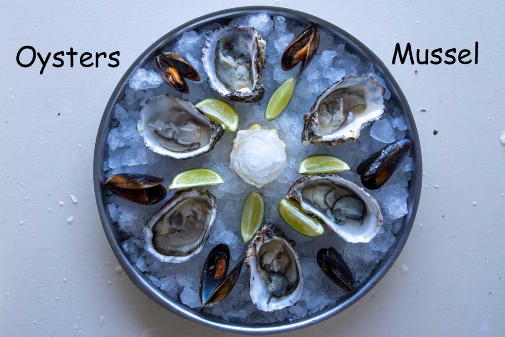 seafood platter with oyster and mussel