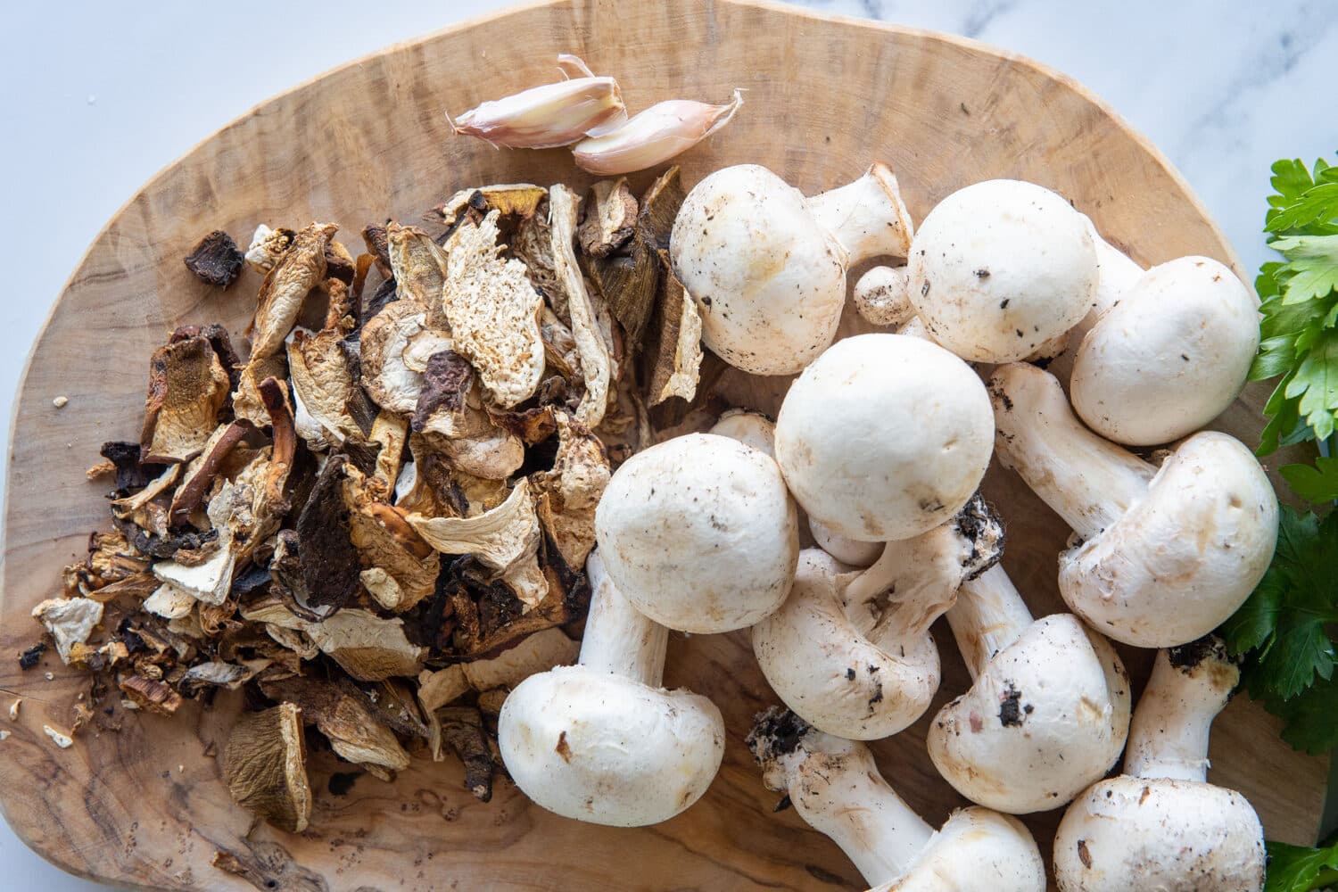 fresh and dried mushrooms