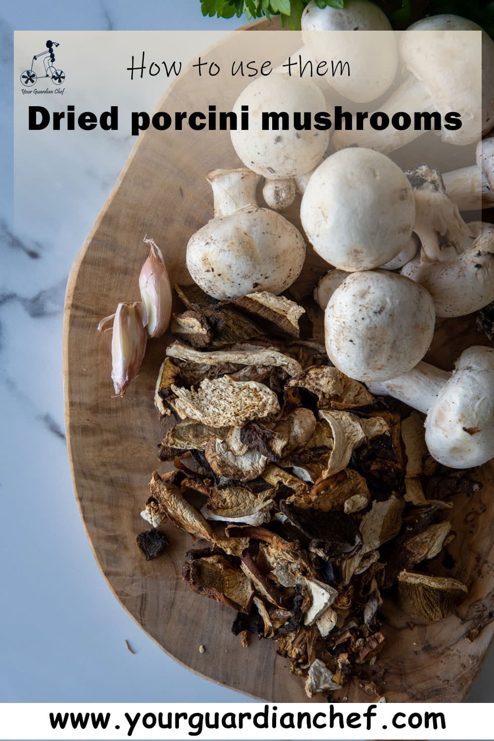 Dried Porcini Mushrooms Recipes Your Guardian Chef