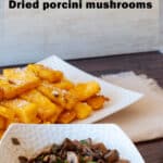 Dried Porcini mushrooms pin