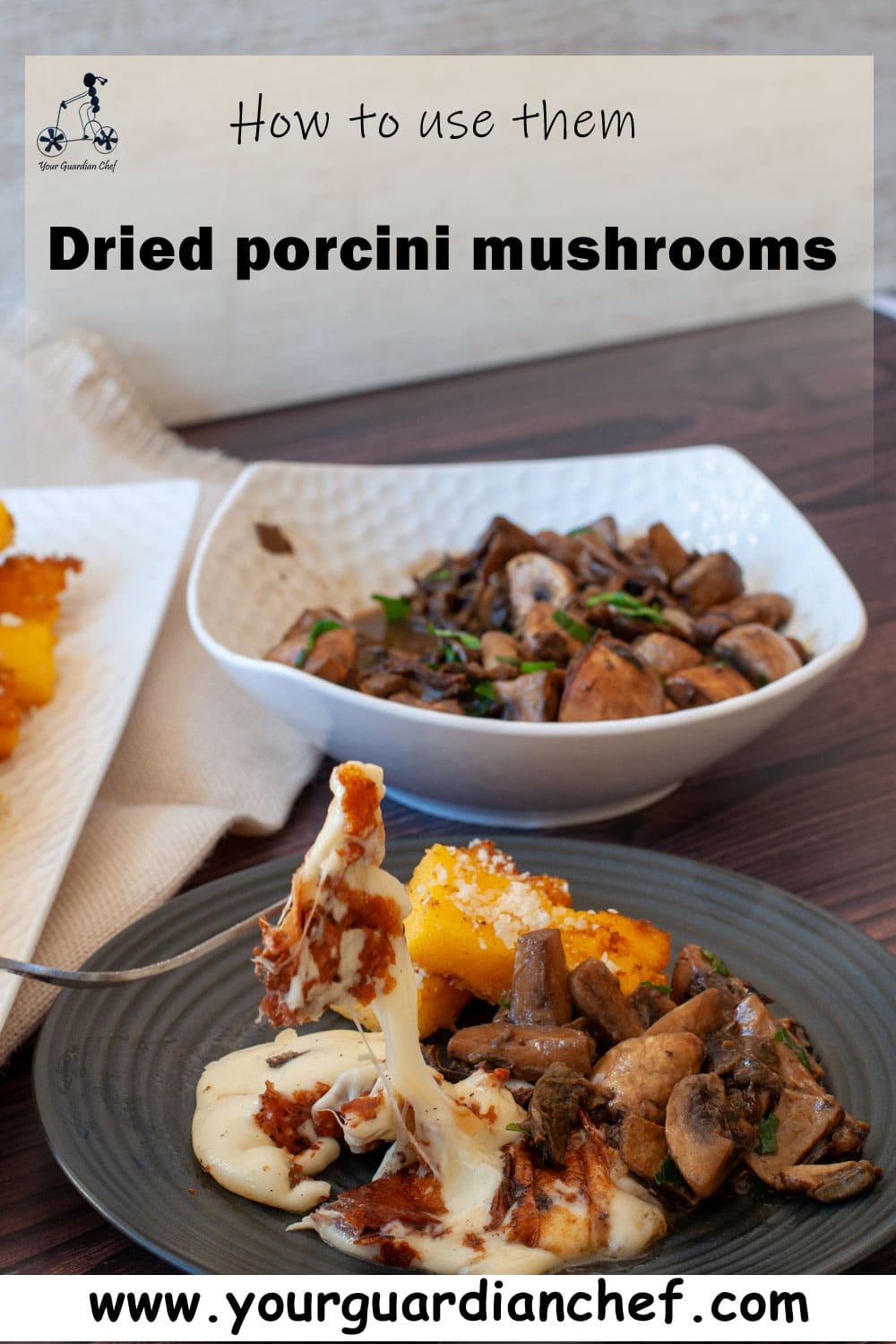 Dried Porcini Mushrooms Recipes Your Guardian Chef