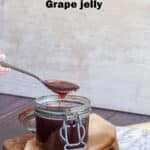 Concord grape jelly pin
