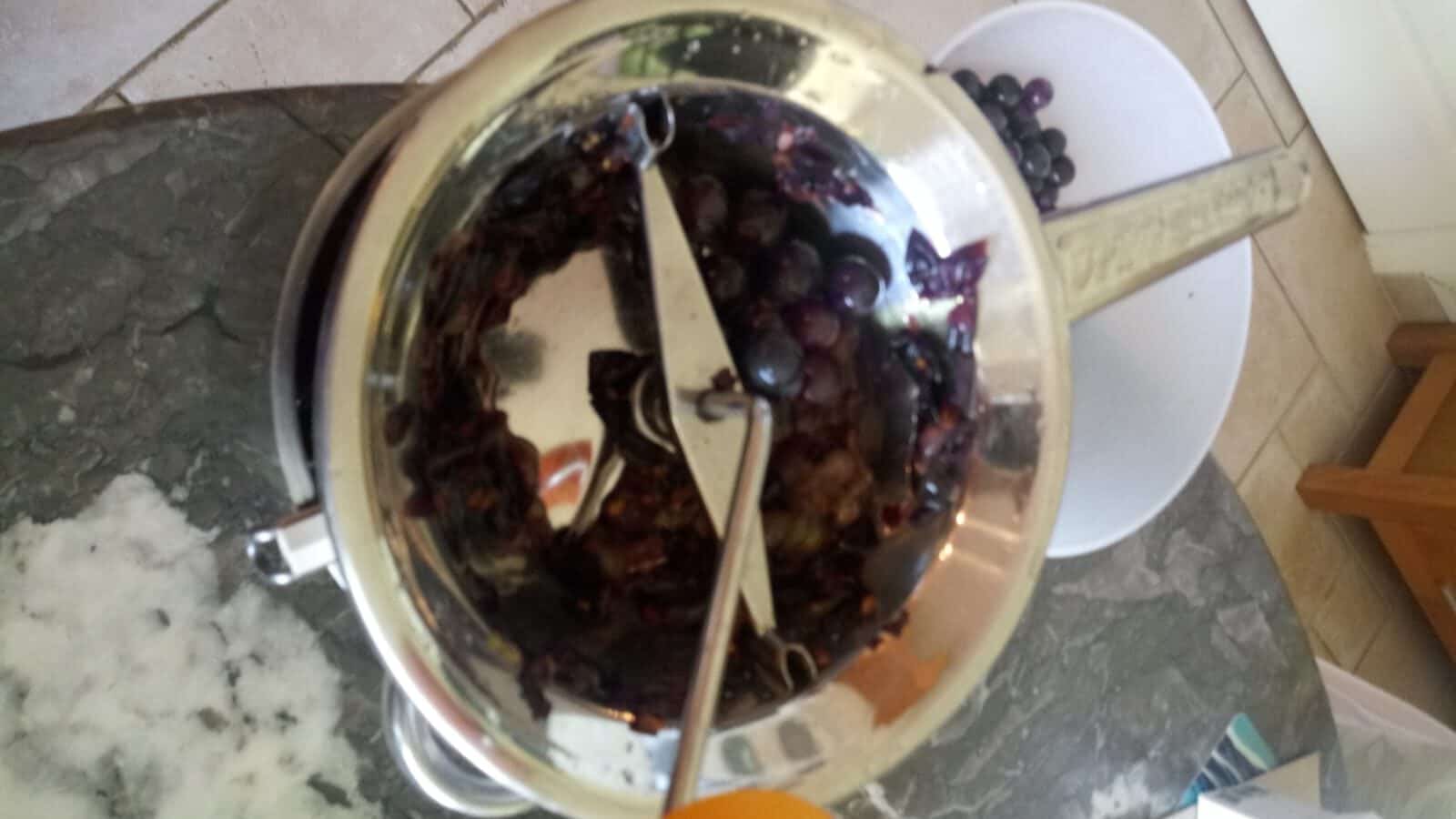 Pass the grapes through an electrical vegetable strainer