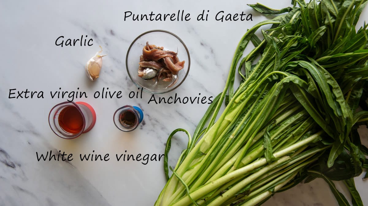 ingredients for puntarelle alla romana with names