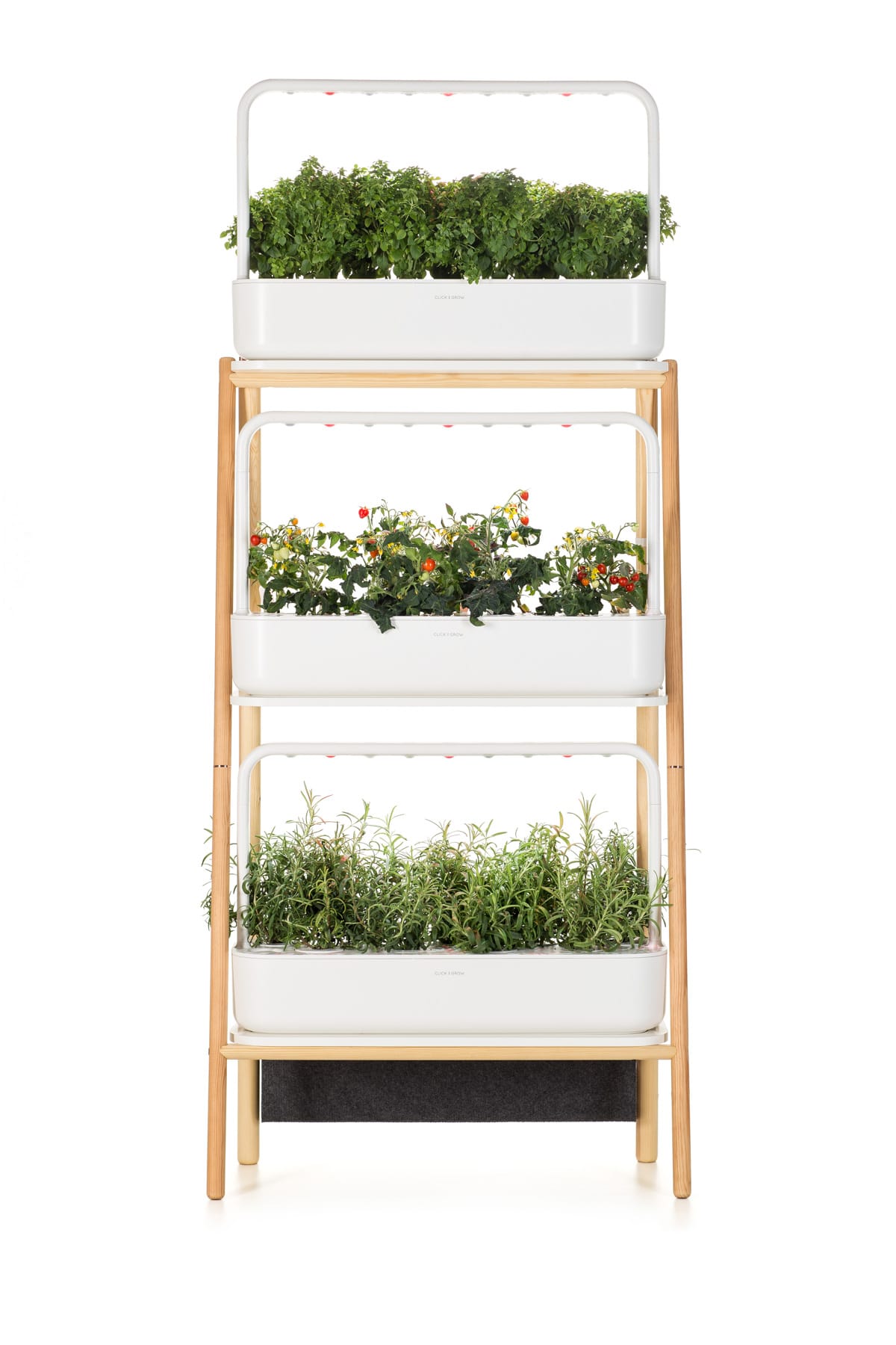 growing herbs with click and grow