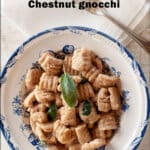 Chestnut gnocchi PIN