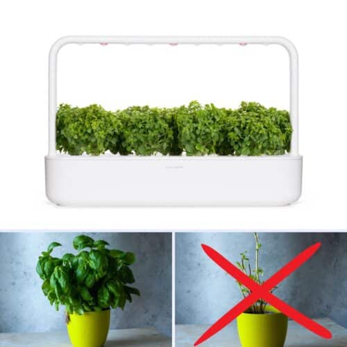 Italian fresh herbs with click and grow