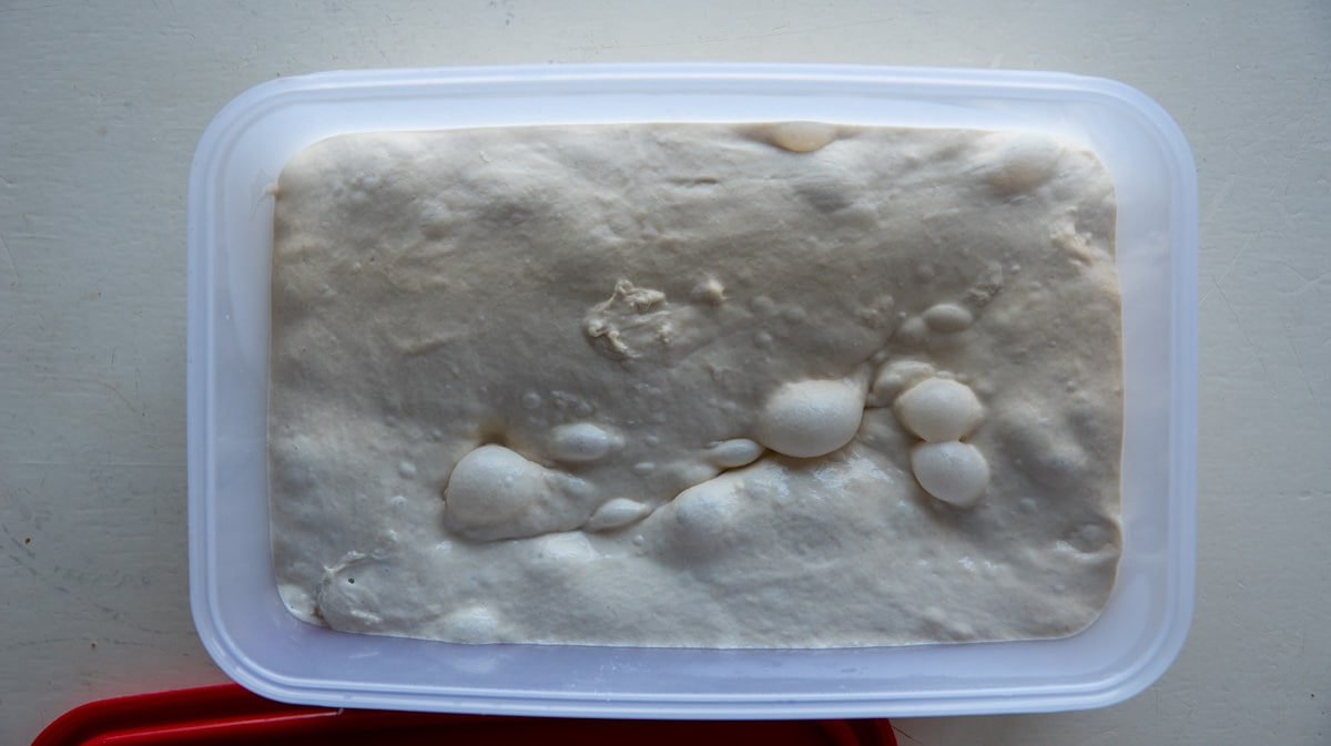 dough after fermenting overnight in the fridge
