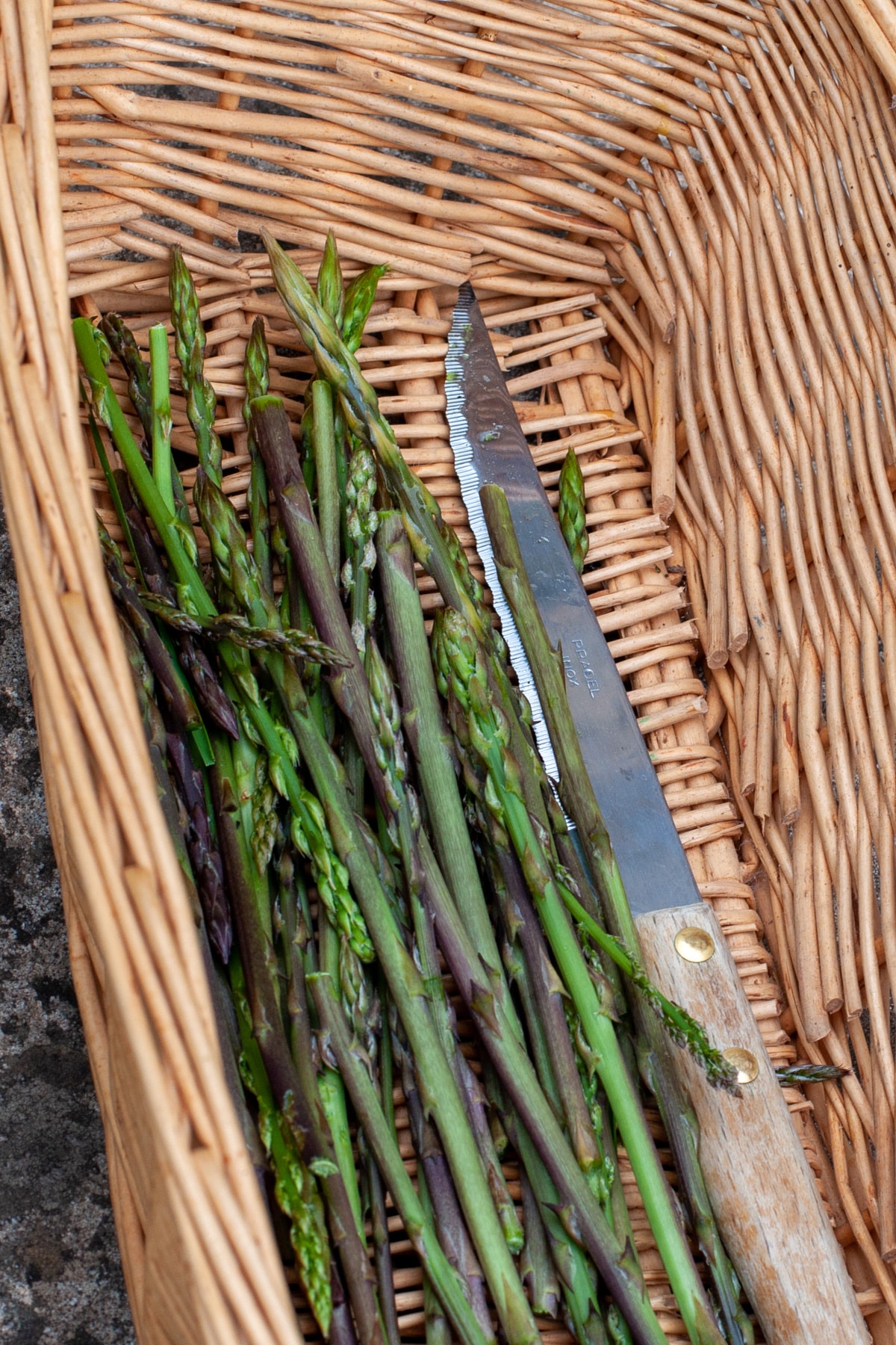 wild asparagus in a basket