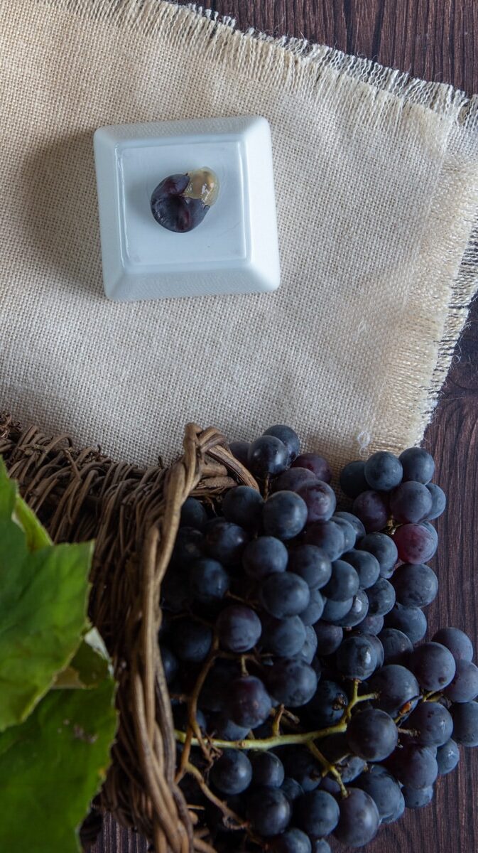 concord grape slip-skin