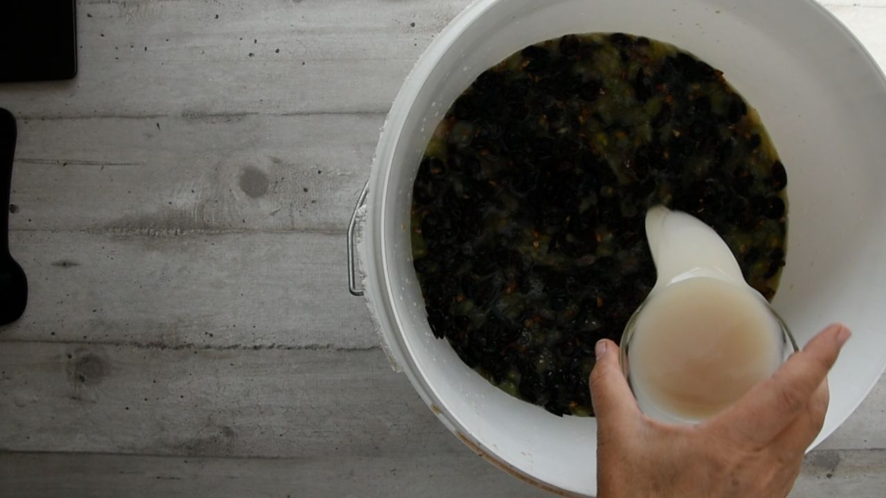 Adding the wine yeast