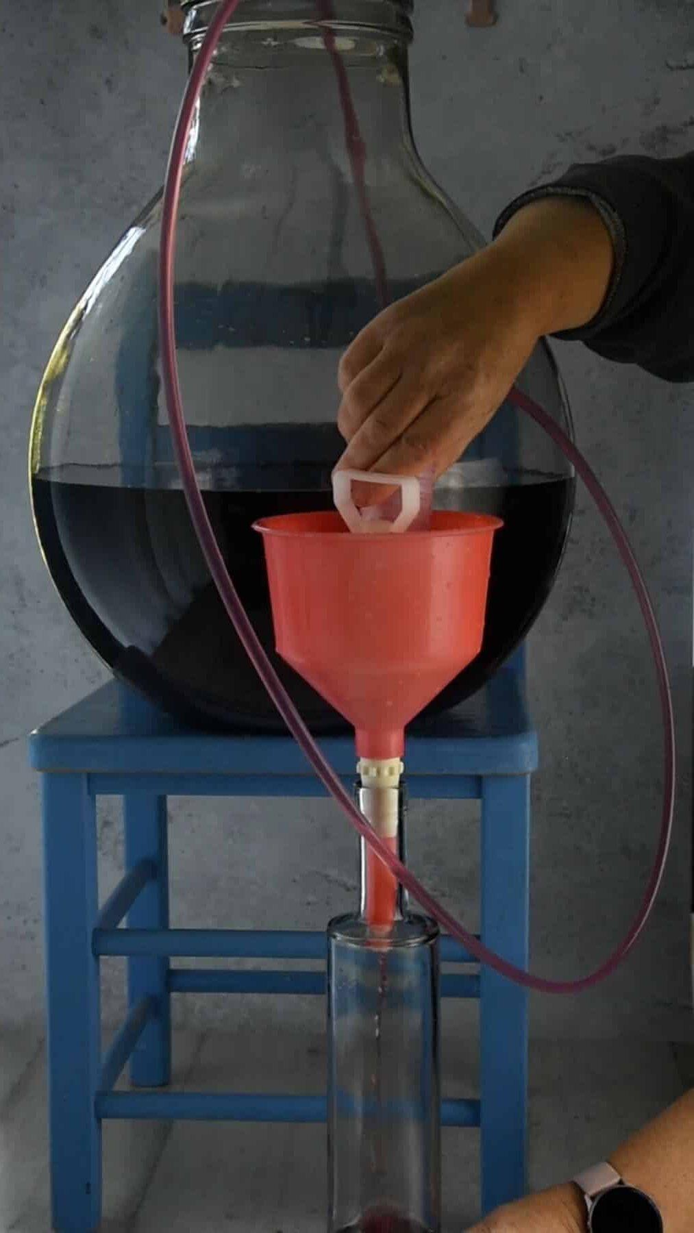 Bottling the Fragolino wine