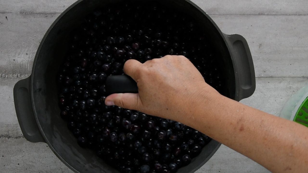 Chrashing the grapes