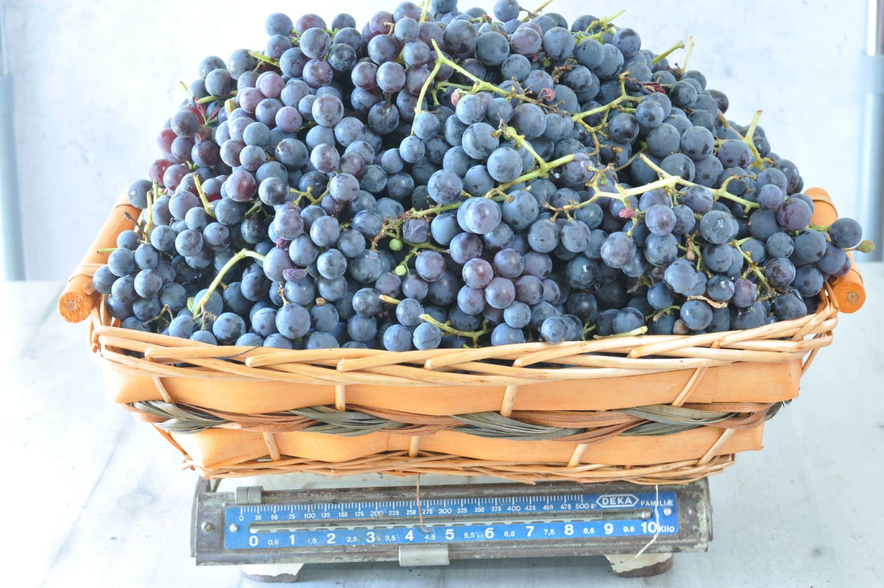 weighting the concord grpaes