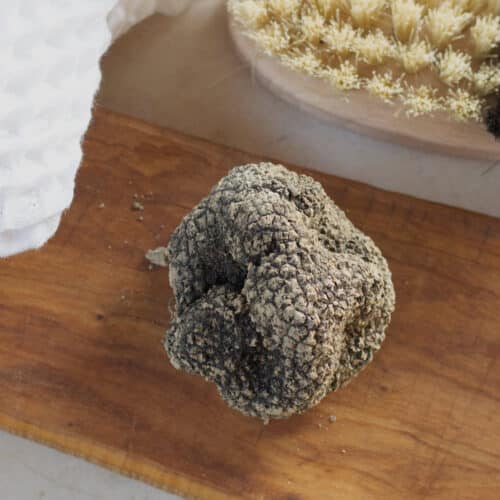 Fresh black truffle