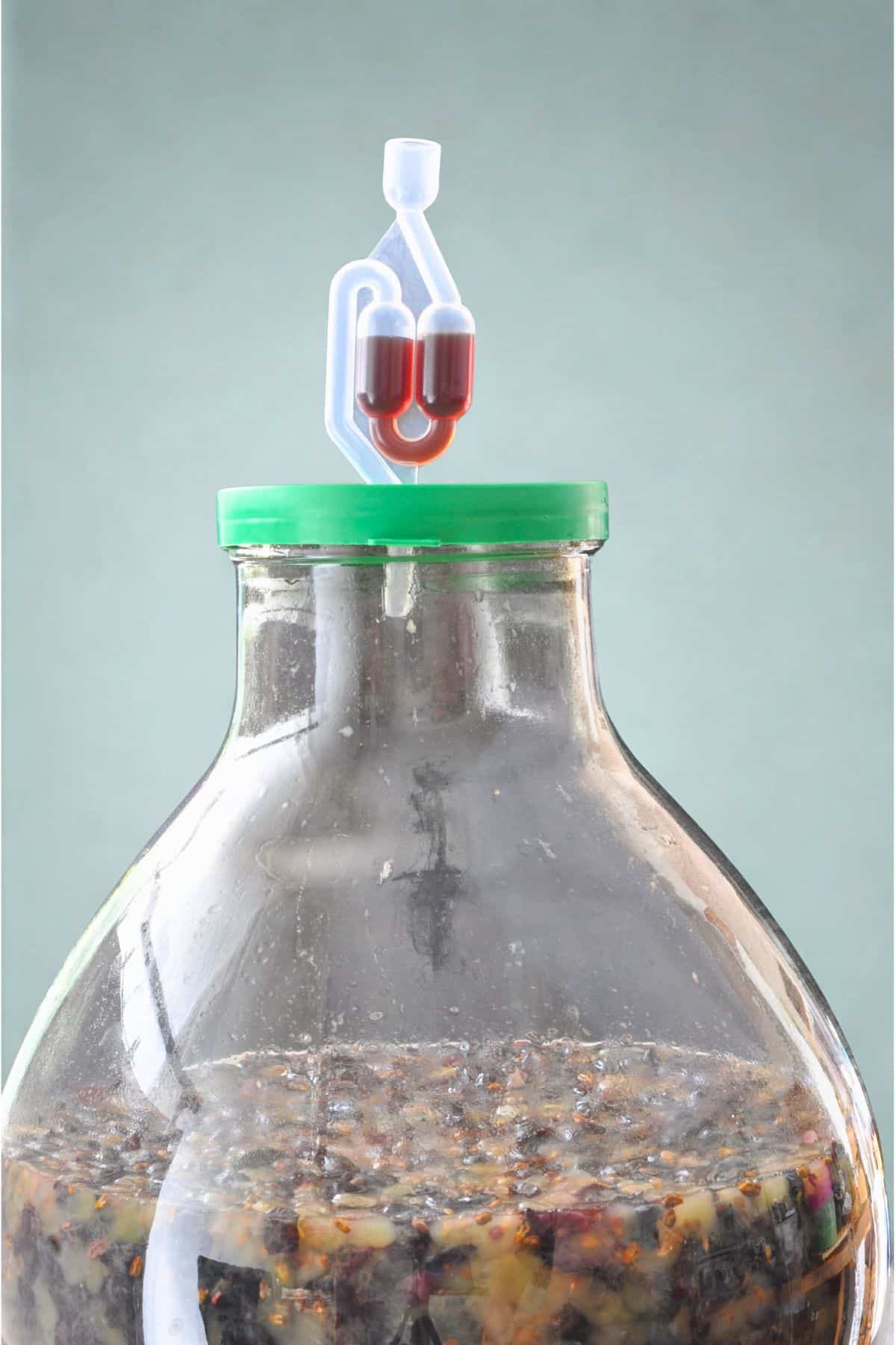 Fermenting the concord grape