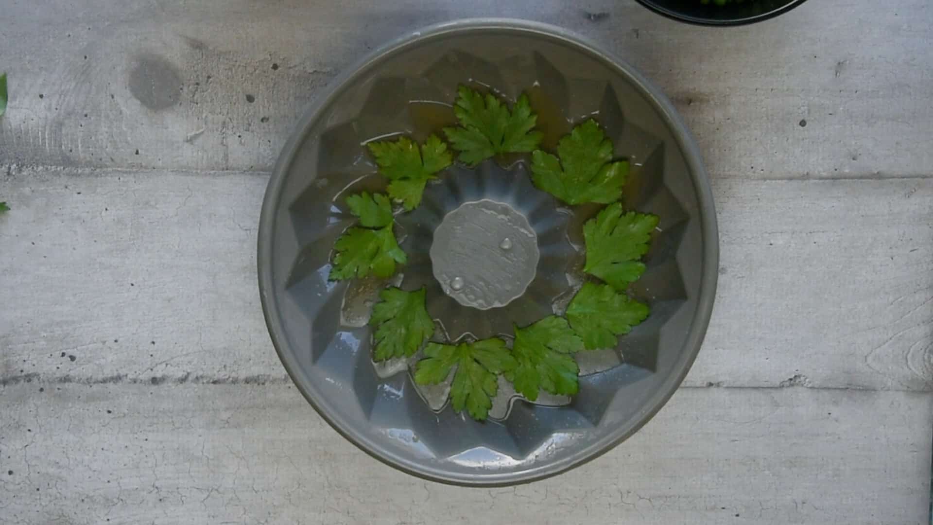 Decorate the set layer with fresh parsley leaves,