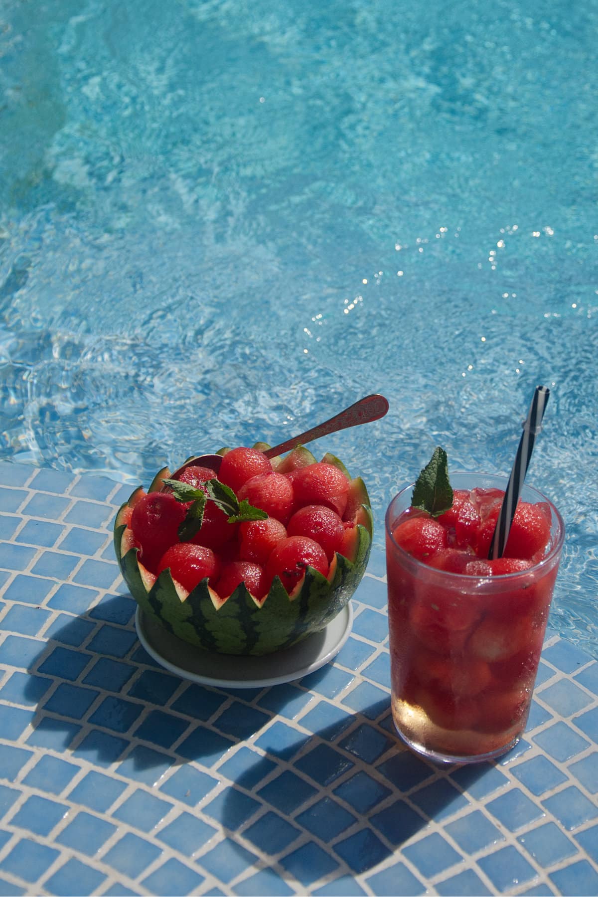 Jellied Watermelon (Anguria Gelatinata)