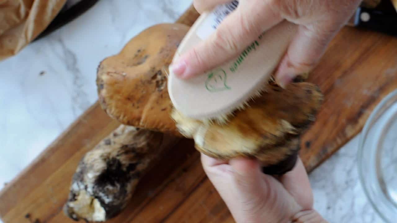Clean porcini with a brush
